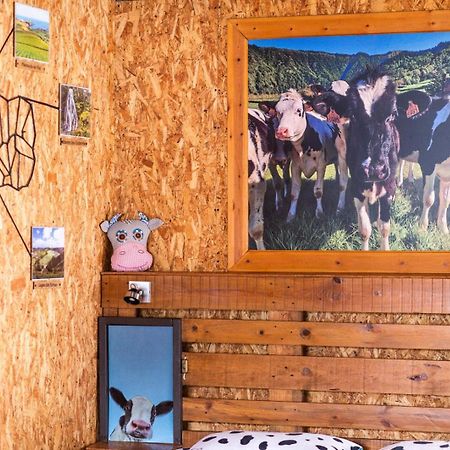 Azores Cow House Calhetas エクステリア 写真