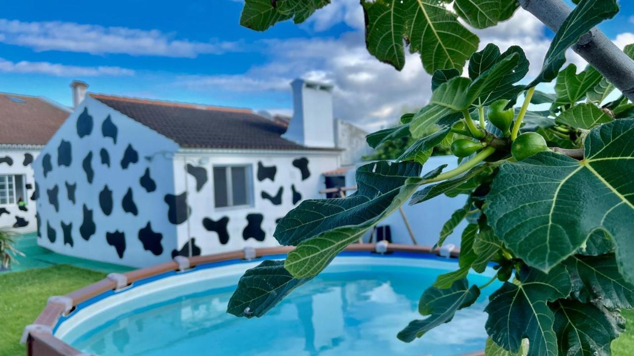 Azores Cow House Calhetas エクステリア 写真