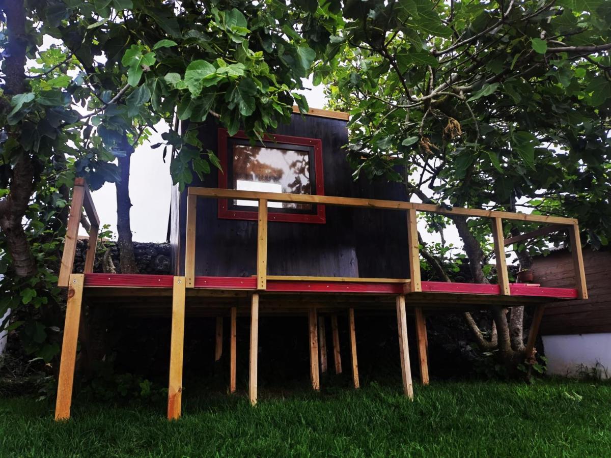 Azores Cow House Calhetas エクステリア 写真