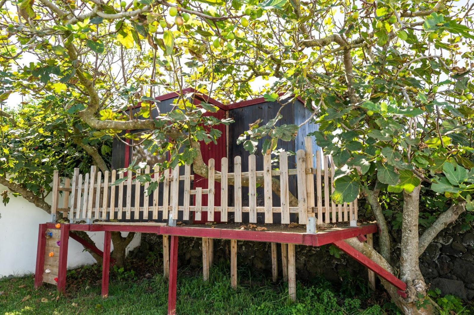 Azores Cow House Calhetas エクステリア 写真
