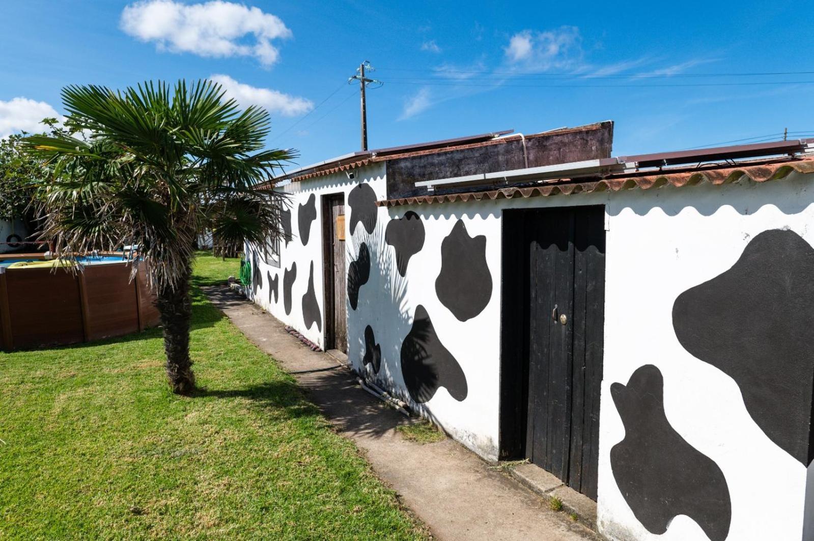 Azores Cow House Calhetas エクステリア 写真